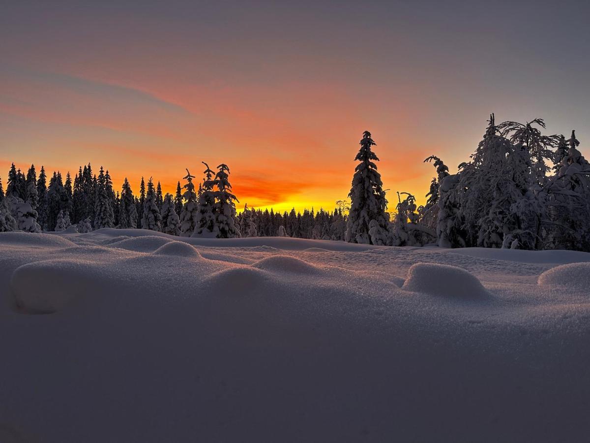 Sore Osen Orbekken Torberget Экстерьер фото